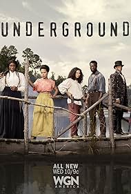 Christopher Meloni, Aldis Hodge, Jurnee Smollett, Aisha Hinds, Jessica De Gouw, Amirah Vann, and Alano Miller in Underground (2016)