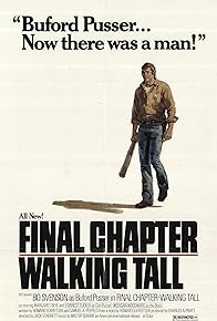 Primary photo for Final Chapter: Walking Tall