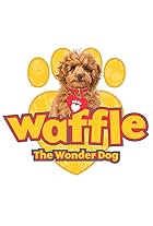 Waffle the Wonder Dog (2018)