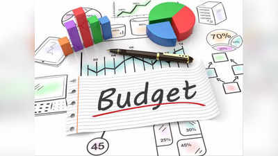 Budget 2024: ഇടക്കാല ബജറ്റിൽ ശ്രദ്ധിക്കേണ്ട ചില പദങ്ങൾ; ബജറ്റ് പൂർണതോതിൽ മനസിലാക്കാൻ ഇവ അറിയണം 