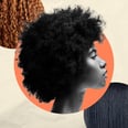 Does the Hair Type Scale Create More Segregation Amid the Natural Hair Movement?