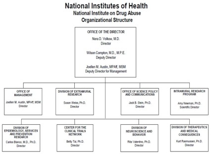 Organizational Chart