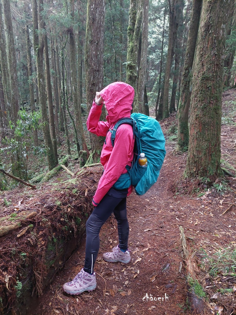 【登山 2天1夜】水漾森林➨鹿屈山➨鹿屈山前鋒  逆向O行縱