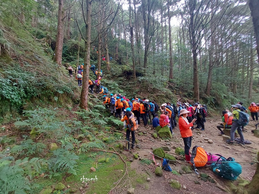 【登山 2天1夜】水漾森林➨鹿屈山➨鹿屈山前鋒  逆向O行縱