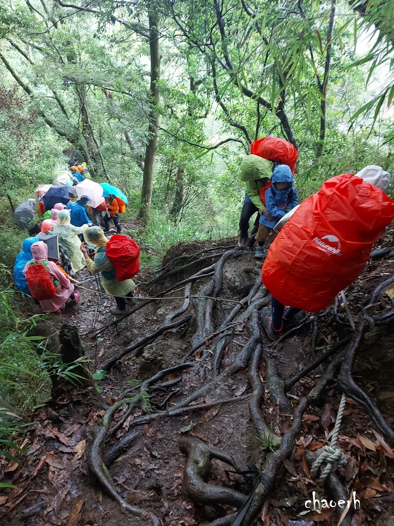 【登山 2天1夜】水漾森林➨鹿屈山➨鹿屈山前鋒  逆向O行縱