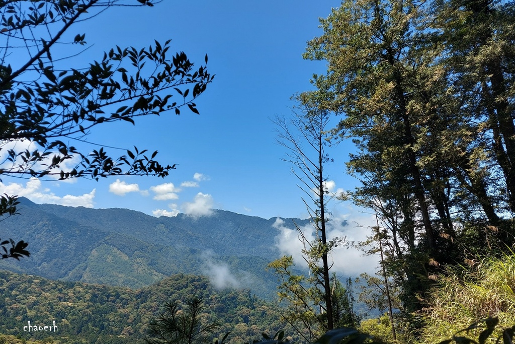 【登山 2天1夜】水漾森林➨鹿屈山➨鹿屈山前鋒  逆向O行縱