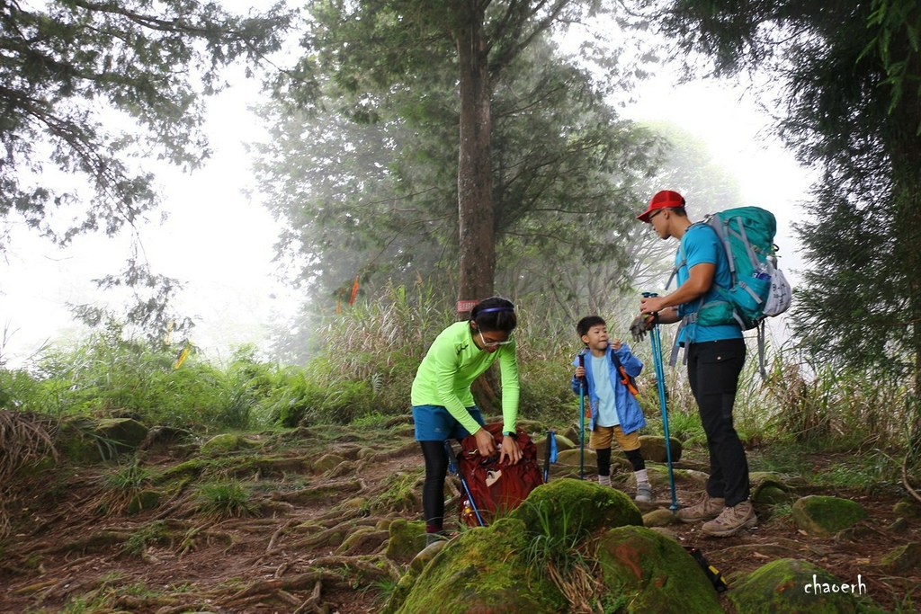 【登山 2天1夜】水漾森林➨鹿屈山➨鹿屈山前鋒  逆向O形縱