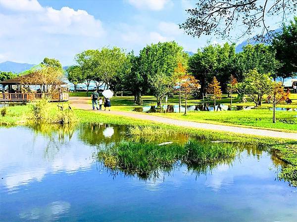 桃園,龍潭,三坑自然生態公園,老頭擺客家餐廳,落羽松,桃園公園,桃園景點,龍潭景點,觀光工廠,老街