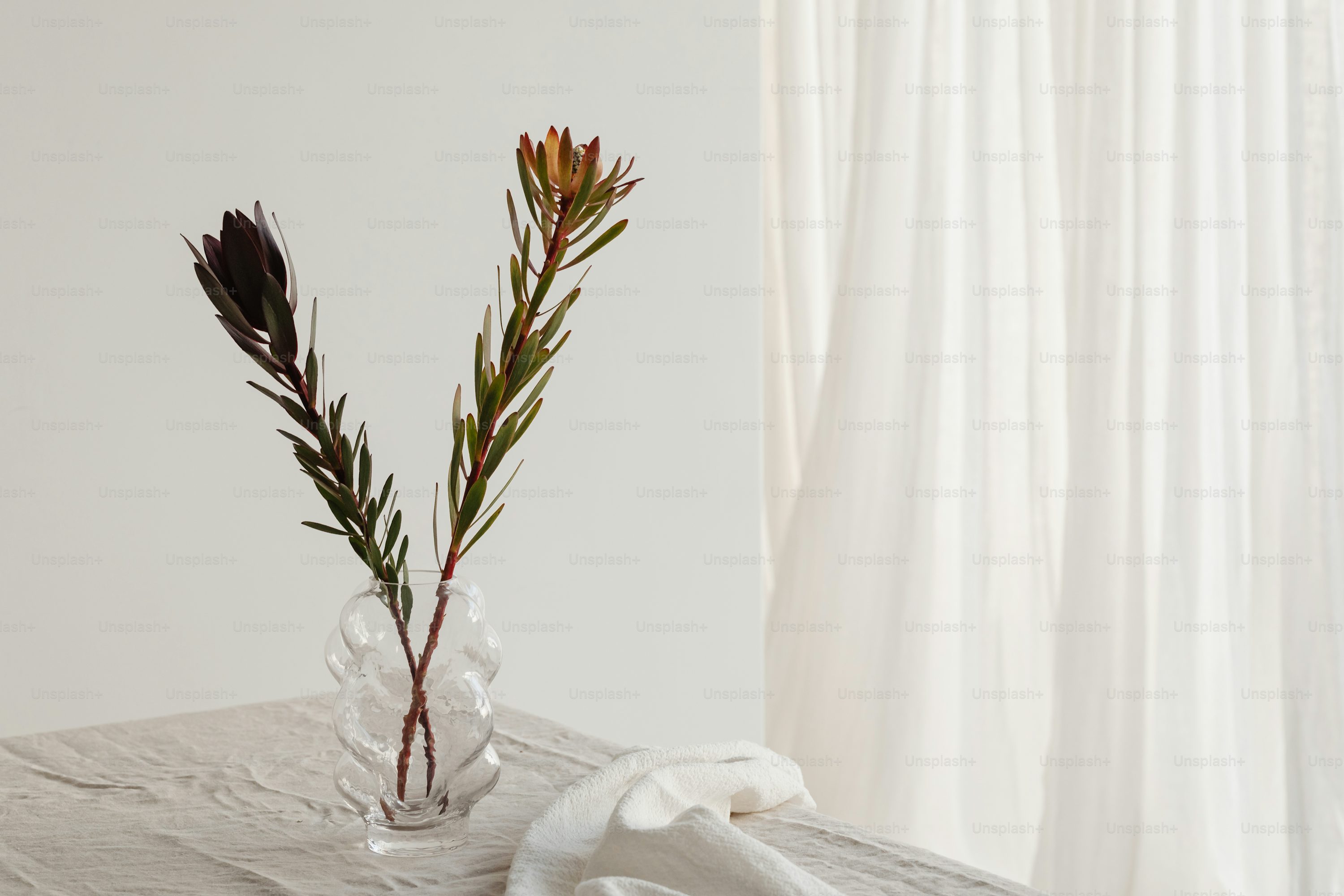 two flowers in a vase on a table