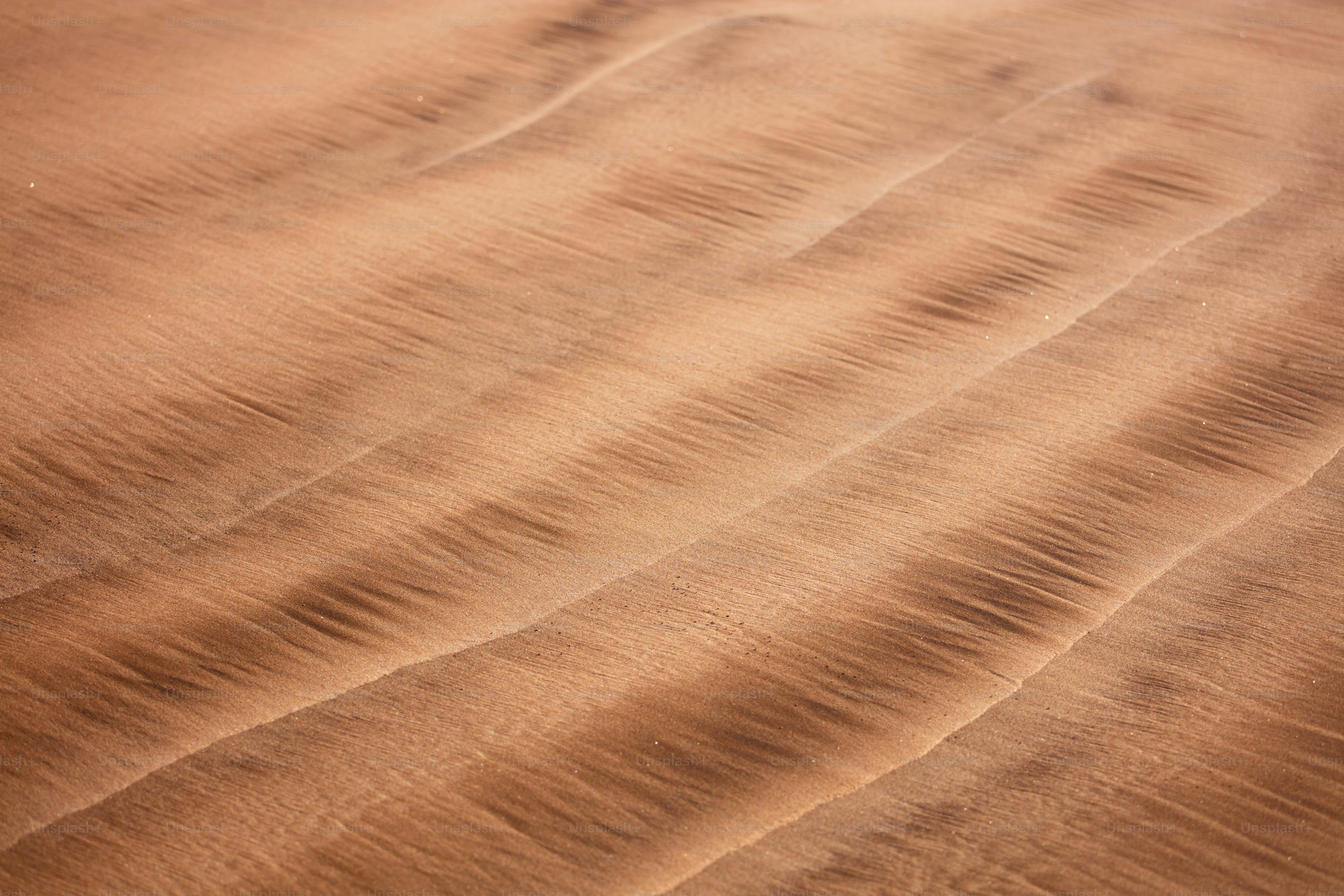 a close up view of a sand dune