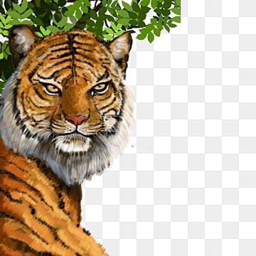 tigre della cina meridionale dipinta a mano tigre disegnata a mano cartone animato tigre tigre realistica, Dipinto, Della, Cina PNG e PSD