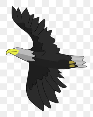 老鷹 鳥類 猛禽 翅膀, 猛禽, 飛翔的老鷹卡通插畫, 銳利的眼睛 PNG圖案素材