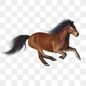 immagini di equitazione e sagittario nella steppa, Clipart Di Cavallo, Dipinto A Mano, Perno PNG e PSD