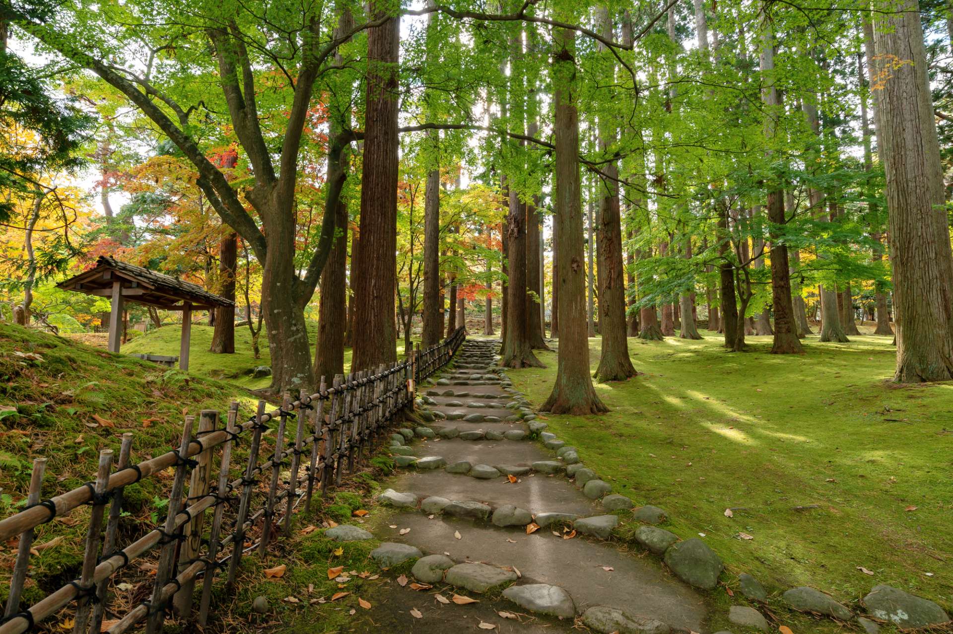 正統的「風景式庭園」，秋季更是知名紅葉名所