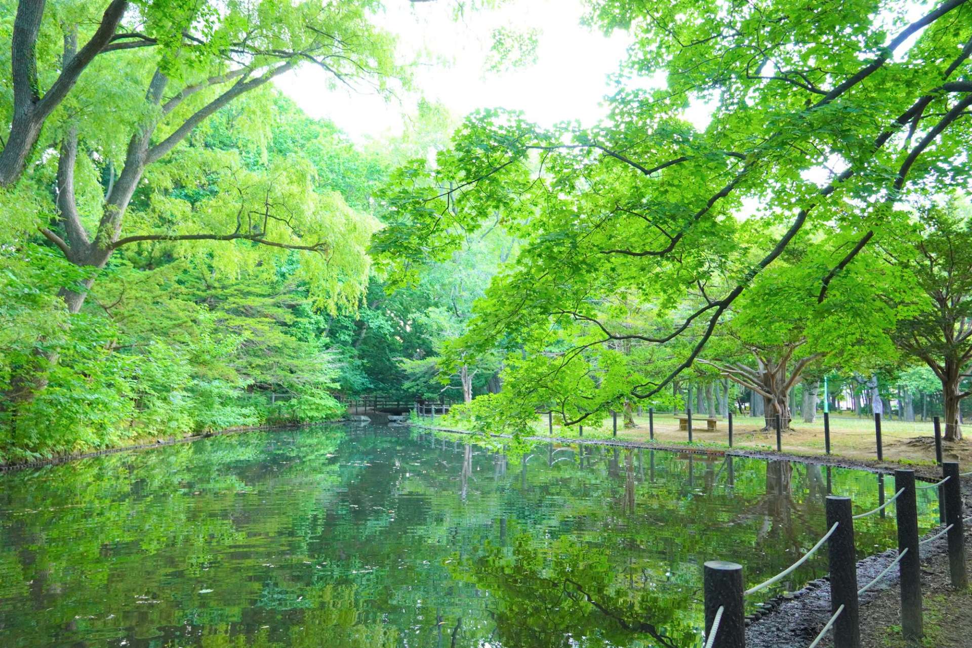 人気観光スポットに隣接する、札幌を代表する公園