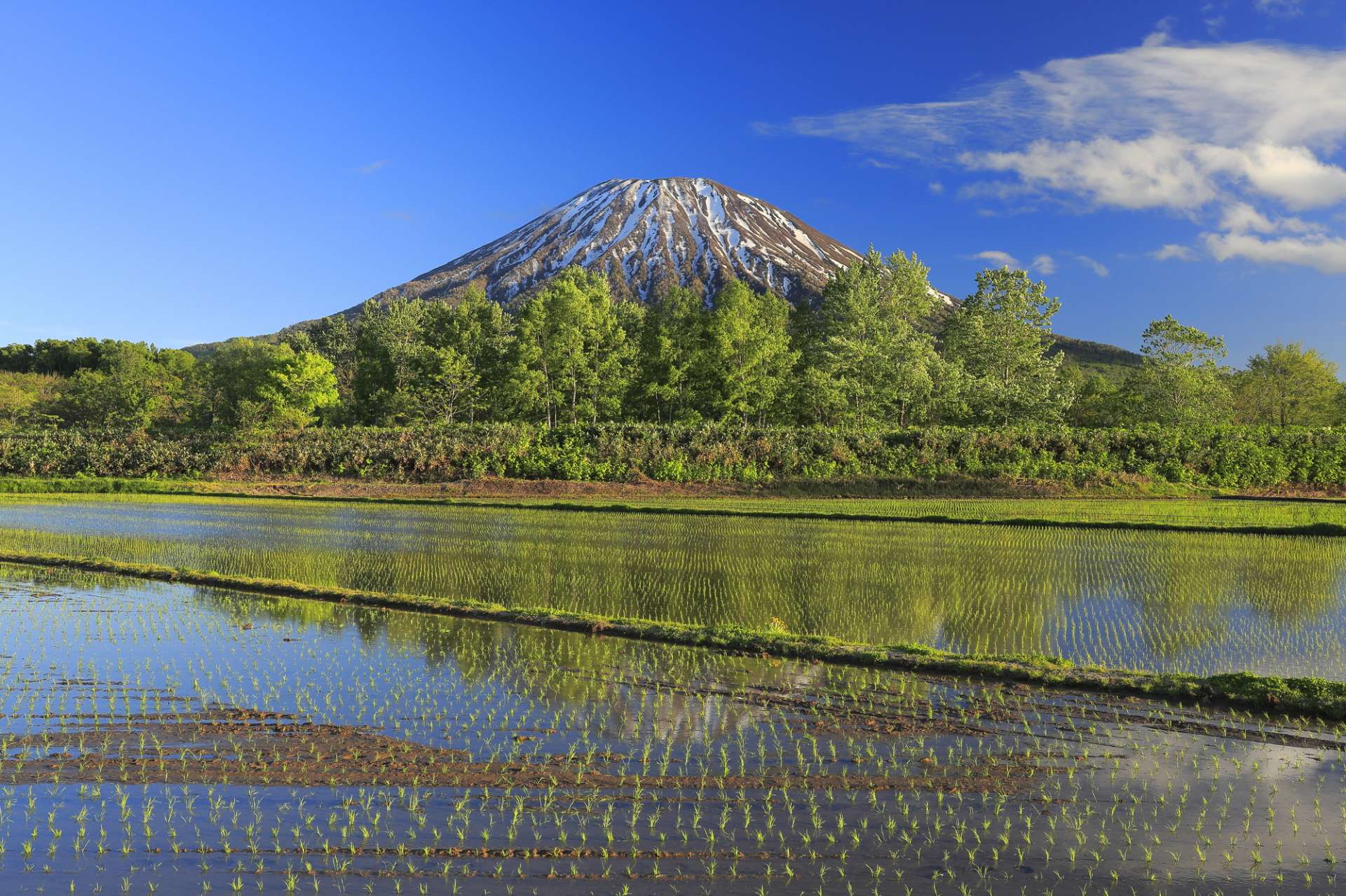 外型极似富士山，以「虾夷富士」之名为人熟知，是新雪谷地区的象征