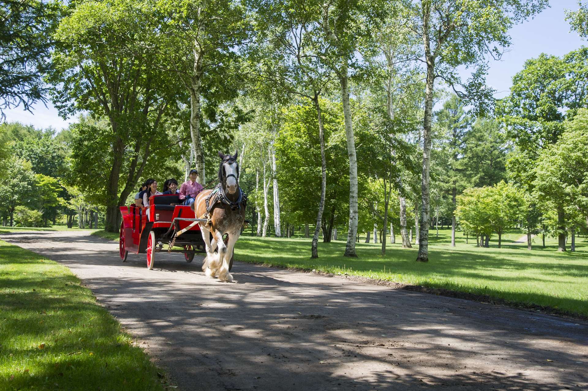 可以乘著觀光馬車在園內悠閒散步