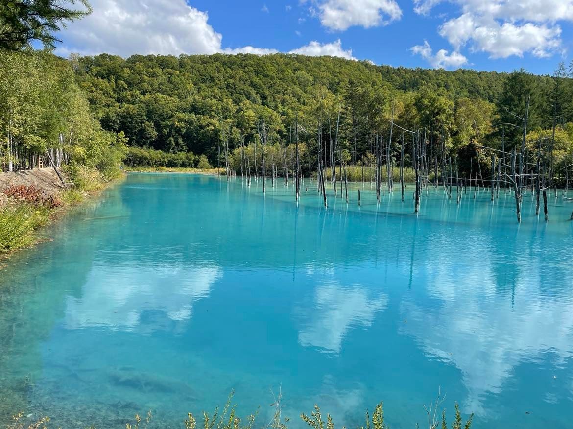 推薦在此一邊欣賞美麗湖景一邊散步