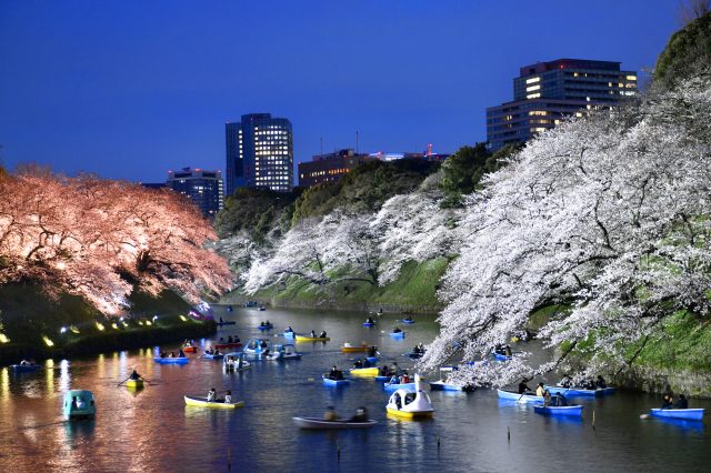 千鳥淵綠道