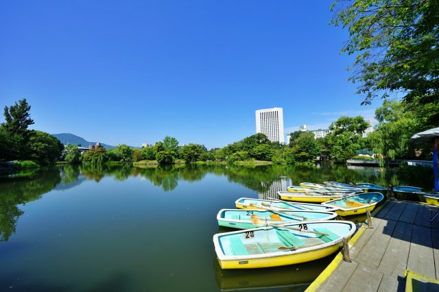 中島公園的菖蒲池