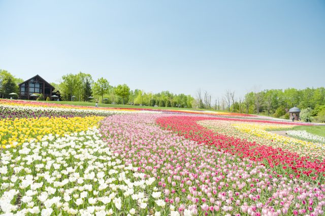 國營瀧野鈴蘭丘陵公園