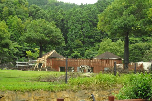 高知縣立野市動物公園