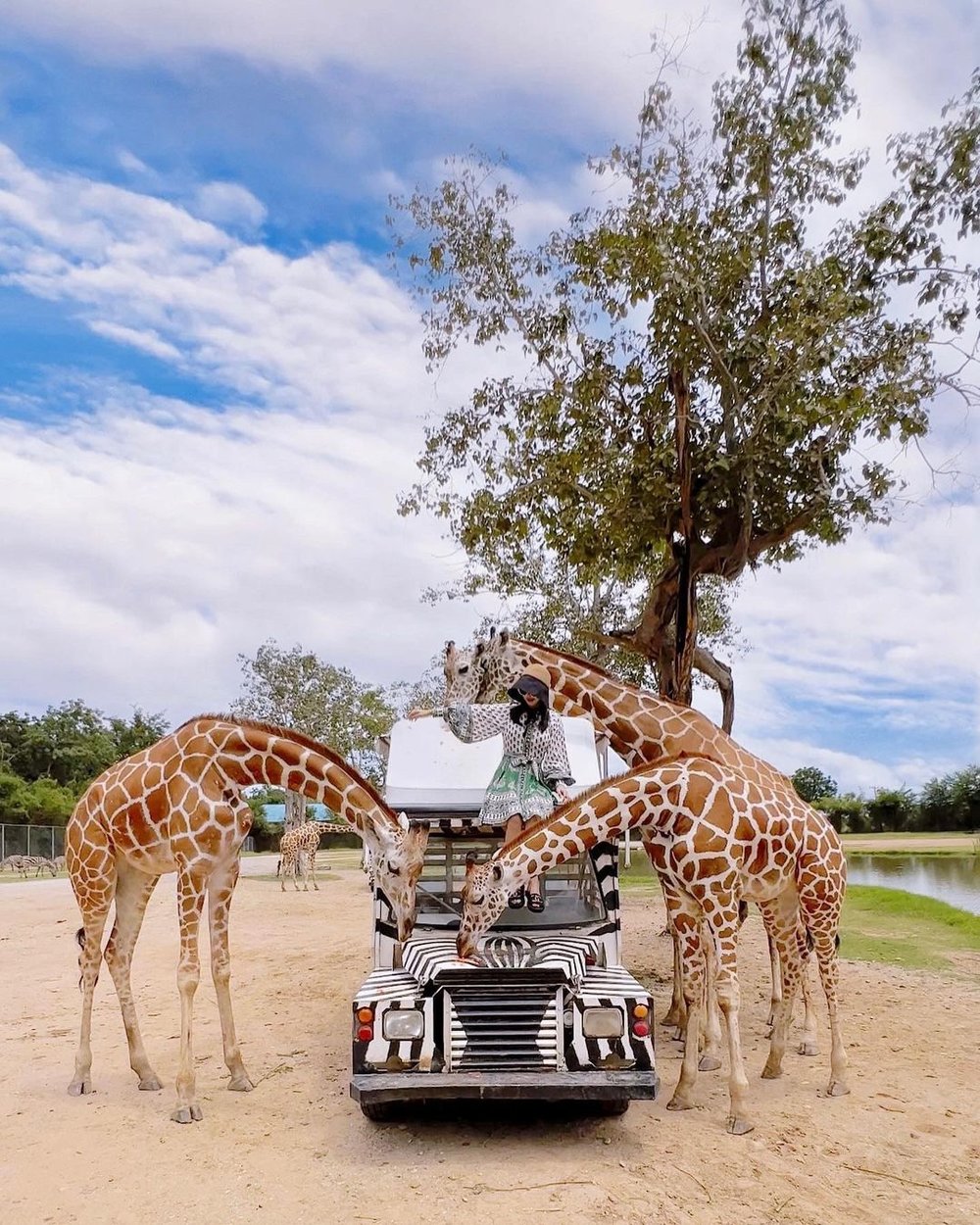 野生動物園 Safari World