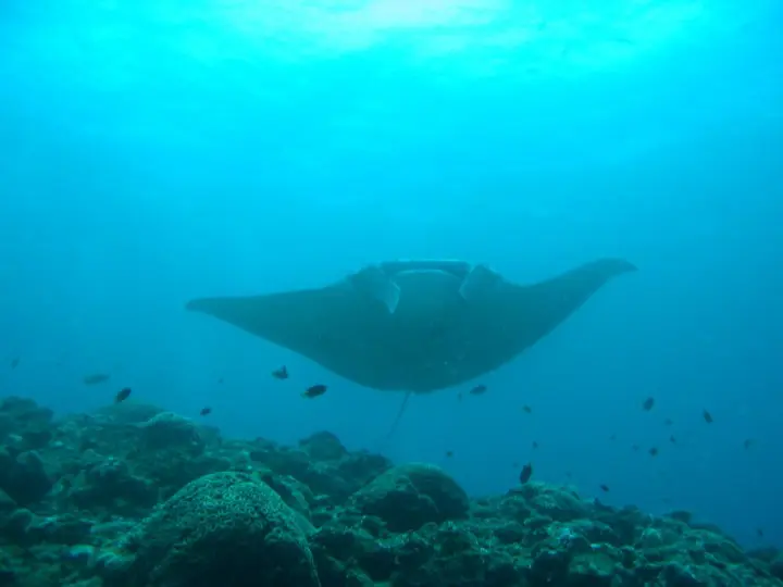 人気急上昇中の沖縄離島！石垣島でやりたい7個のこと