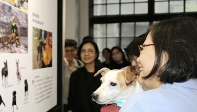 蔡英文帶愛犬到松菸逛展覽 《毛英雄＆好夥伴》只展到週日 - 鏡週刊 Mirror Media