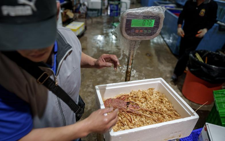 揭開澳洲龍蝦走私海上交易線—船公司、地方頭人、黑道：金馬「龍蝦意外財」捲起的利益和衝突