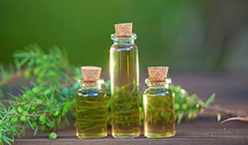 Tea Tree Oil Acne Benefits: A Natural Treatment for Clear Skin