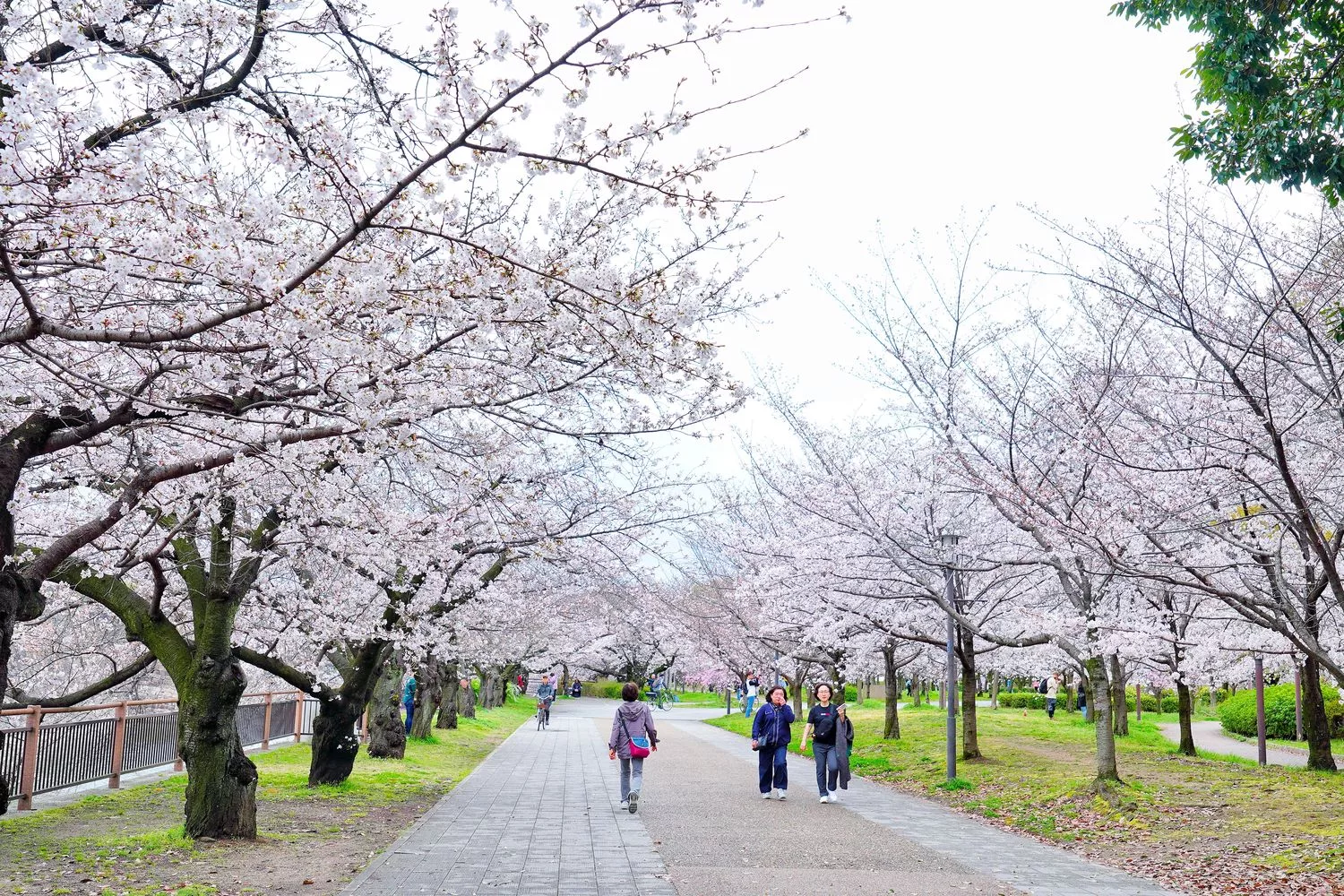 【2024日本大阪景點推薦】精選 18 個大阪自由行必去景點/行程/門票 完整攻略! @混血珊莎的奇幻旅程