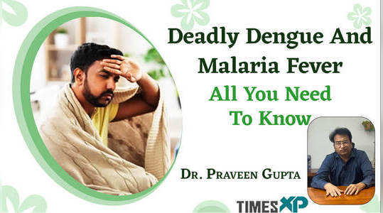 understanding dengue and malaria symptoms treatment and prevention