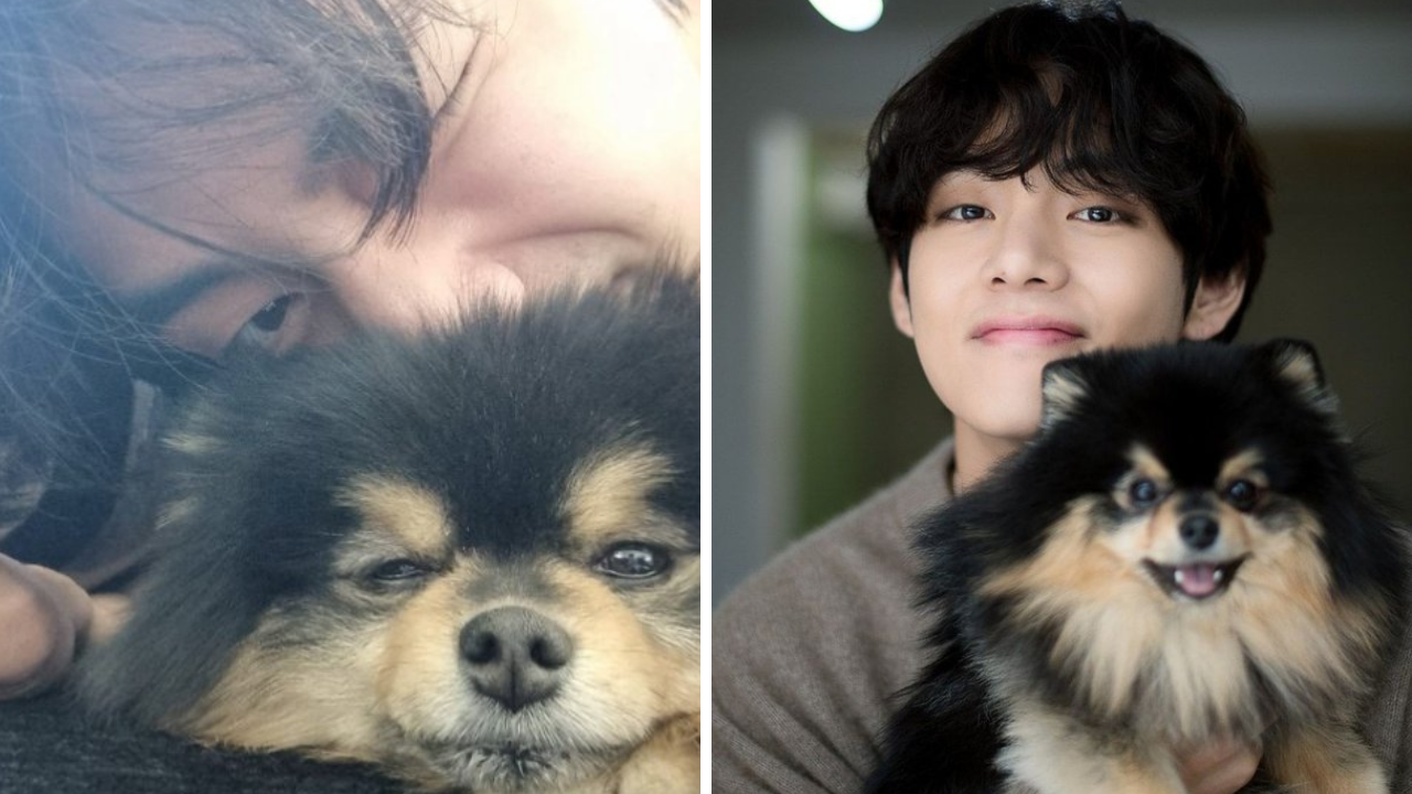 BTS V Misses Yeontan During Military Service Dedicates Special Song To His Pet Dog