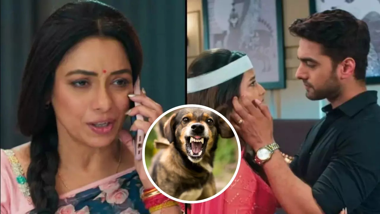 Dog Bites Yeh Rishta Kya Kehlata Hai Director On Rupali Gangulys Anupamaa Set - Exclusive