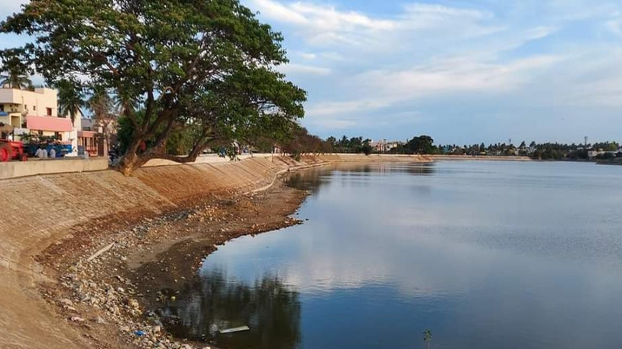 There Wasnt A Single Drop How These Residents Saved Chennais 50-Acre Chitlapakkam Lake In 7 Years
