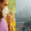 Delhi That Chokes On Bad Air Every Year Has Pollution Board Understaffed By 68