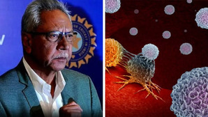 What Is Blood Cancer That Former Cricketer Anshuman Gaekwad Was Suffering From