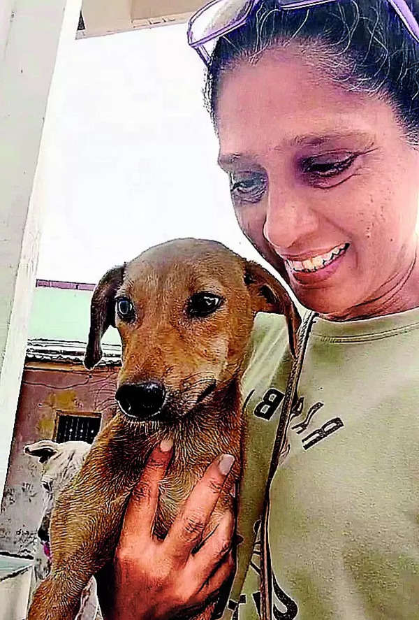 Woman stayed at shelter for five days to save 15 dogs