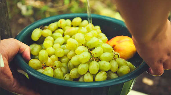 High-sugar fruits - Grapes