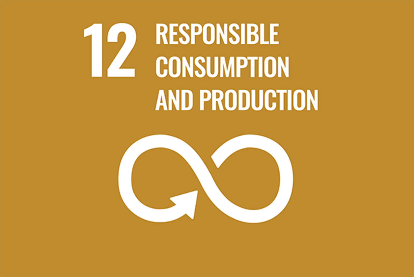 SDGs 目標12｜促進綠色經濟，確保永續消費及生產模式