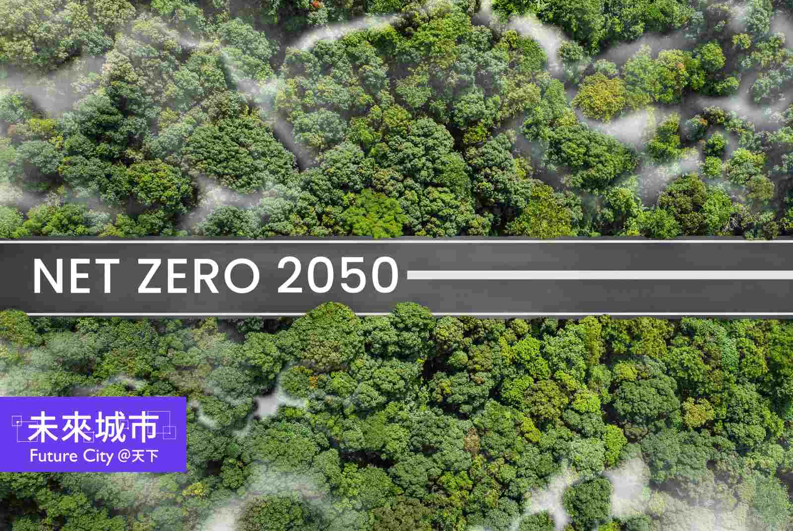 2050淨零轉型，哪些縣市已有淨零轉型自治條例？減碳進度如何？｜投書