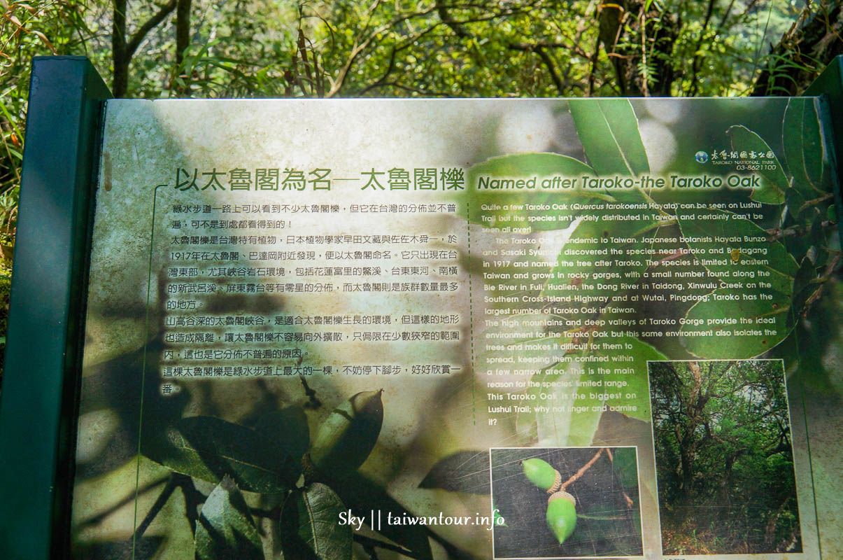 【綠水步道】花蓮景點推薦百年步道太魯閣國家公園