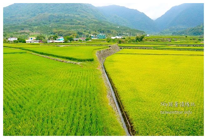 富里秘境富田路05247