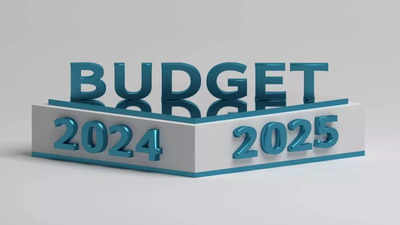 Budget 2024 : భారత్ బడ్జెట్ పై జెఫరీస్ అంచనాలు.. హౌసింగ్, క్యాపెక్స్, కన్స్యూమర్ గూడ్స్ సెక్టార్లకు బూస్ట్.. 