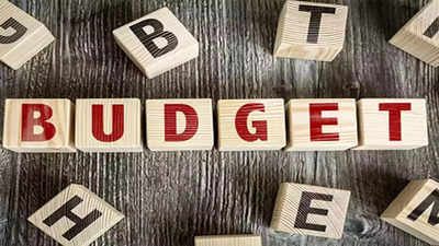 Union Budget 2024 : కేంద్ర బడ్జెట్ నుంచి సామాన్యులు ఆశిస్తున్న ఐదు కీలక అంశాలు.. 