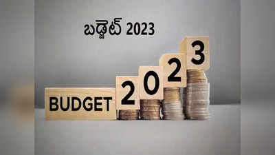 Budget 2023: బడ్జెట్ 2023 వేతన జీవులు, తదితరులకు మేలు కలిగించేలా ఉందా? 