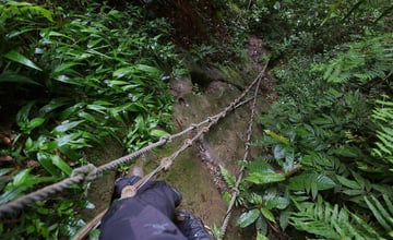 小百岳 ～ 南港山.九五峰 & 拇指山