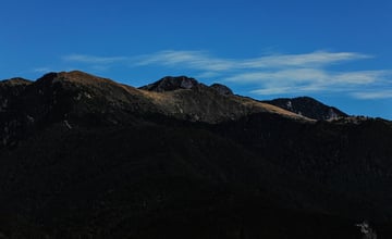 年假首選 福壽山農場賞高海拔山區最美櫻花與風景