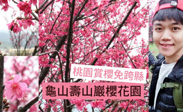 桃園｜壽山巖觀音寺櫻花秘境！2019賞櫻免跨縣，IG打卡熱點一秒變身花系女孩&男孩